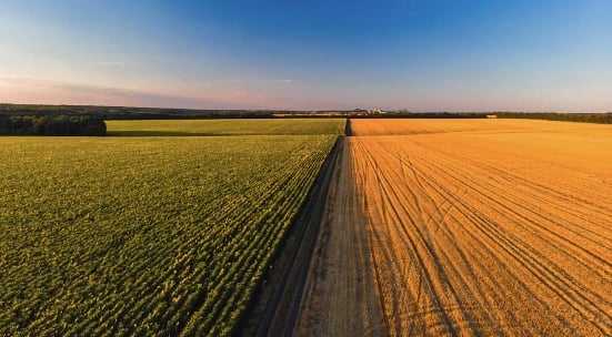 Mudanças climáticas no agronegócio
