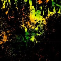 FORESIGHT - Dashboard